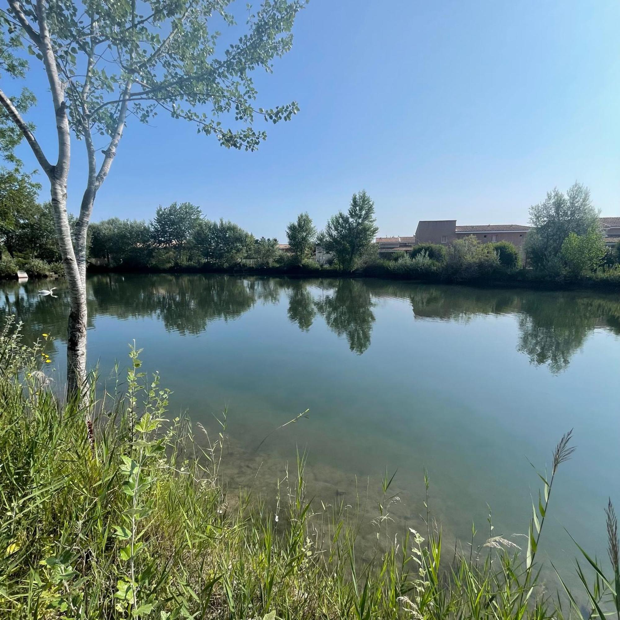 Maison Plain Pied Avec Climatisation Dans Une Residence Privee Avec Piscine Saint-Saturnin-lès-Avignon Zewnętrze zdjęcie